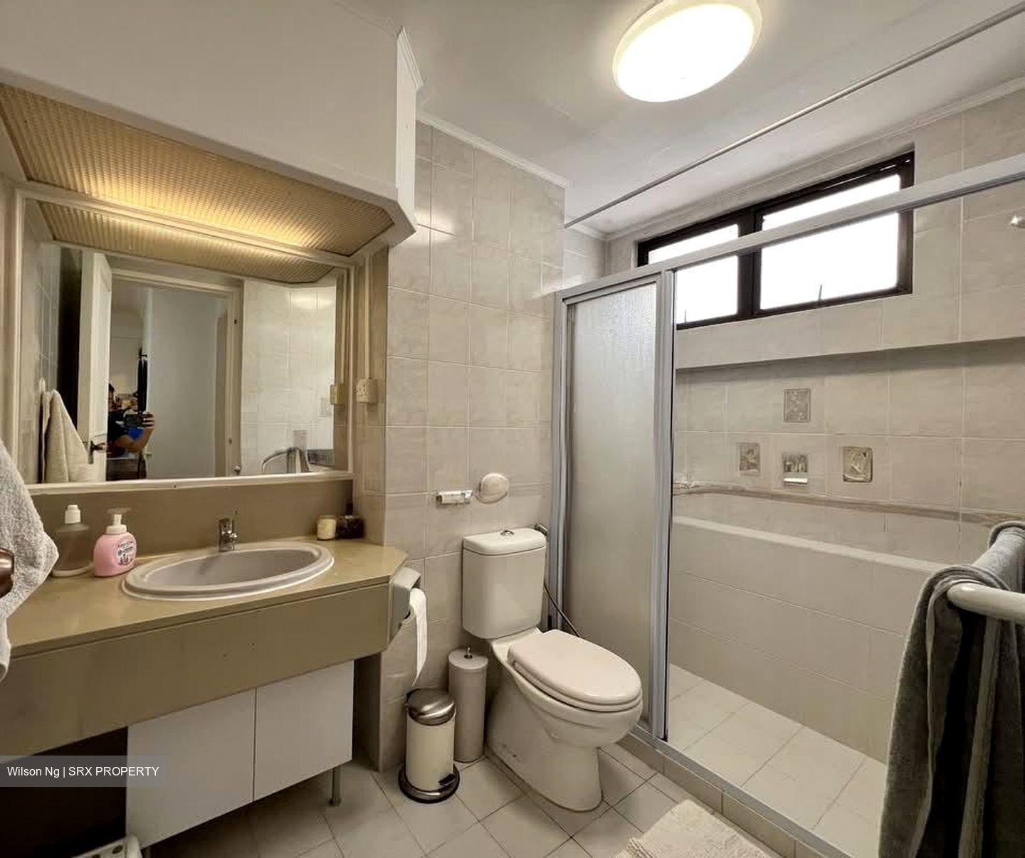 Tanglin Park (D10), Condominium #531171051